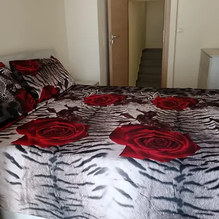 Hotel Sciacu House *